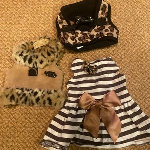 Tiny tea cup yorkie clothing